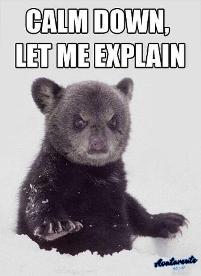 meme calm down con vật