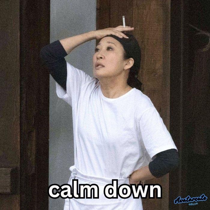 meme calm down hài chế