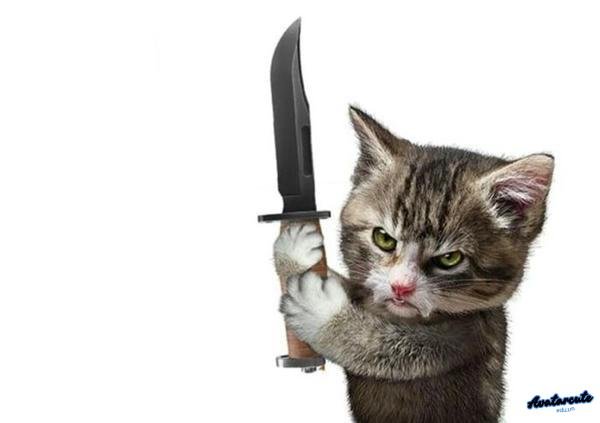 meme cầm dao chém