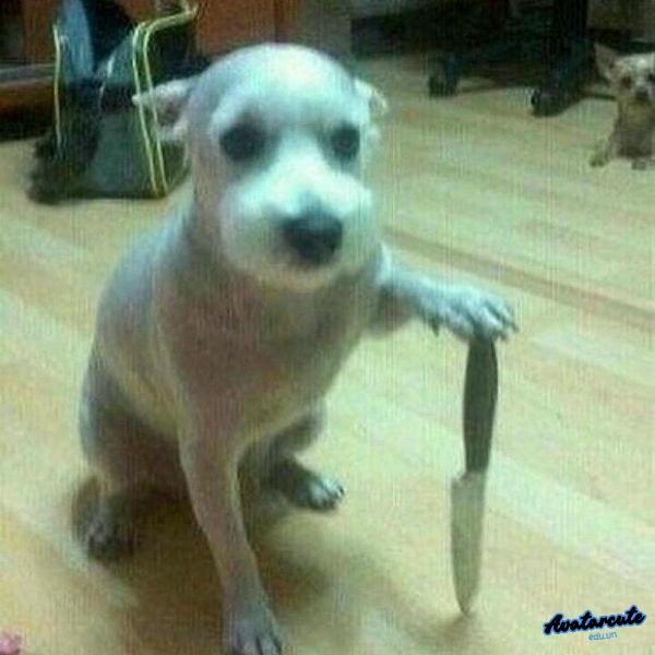 meme cầm dao chống nạnh