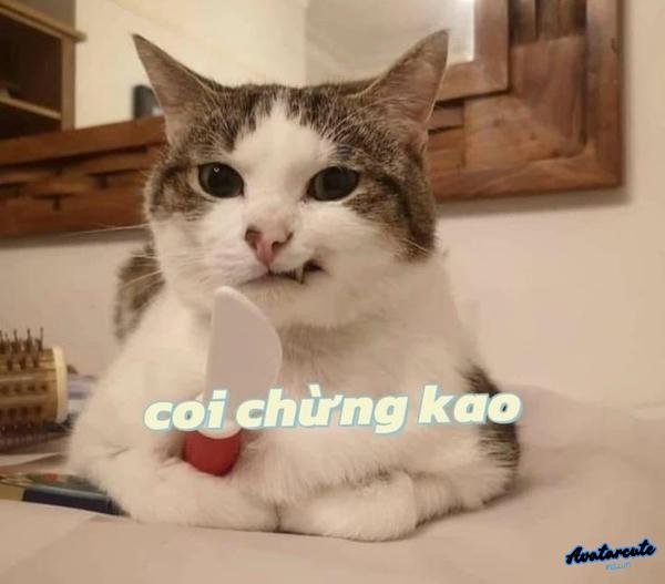meme cầm dao đe doạ