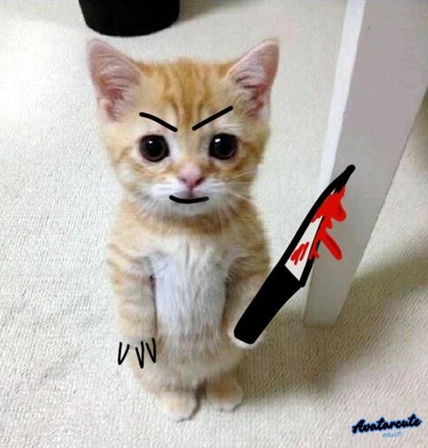 meme cầm dao đồ chơi