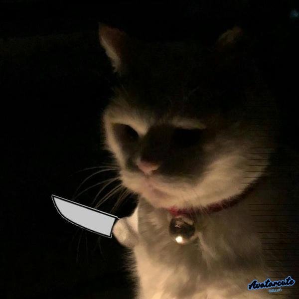 meme cầm dao kề cổ