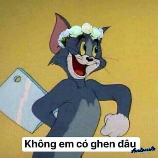 meme cầm dao mèo