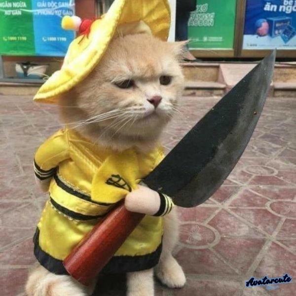 meme cầm dao nhựa