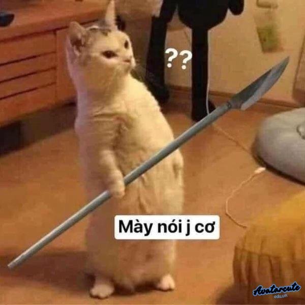 meme cầm dao phóng