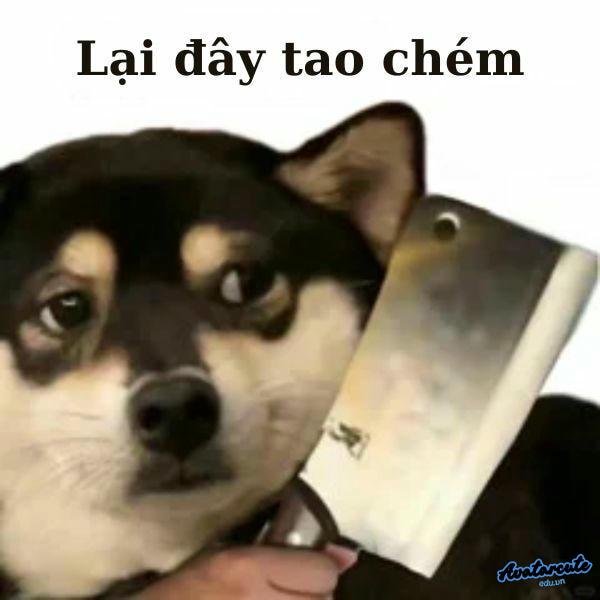 meme cầm dao