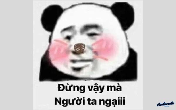 meme cảm động trung quốc