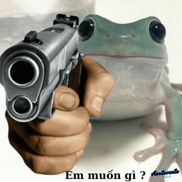 meme cầm ếch xanh