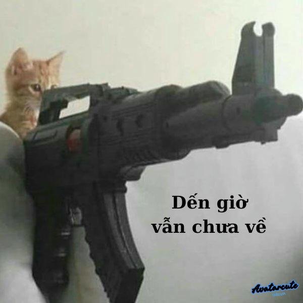 meme cầm súng to