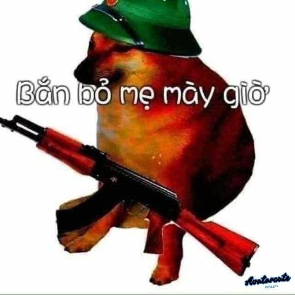 meme cầm súng
