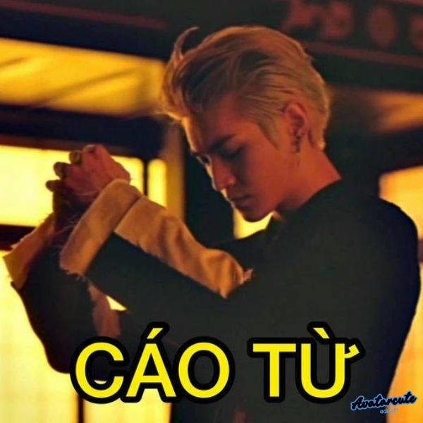 meme cáo từ ạ
