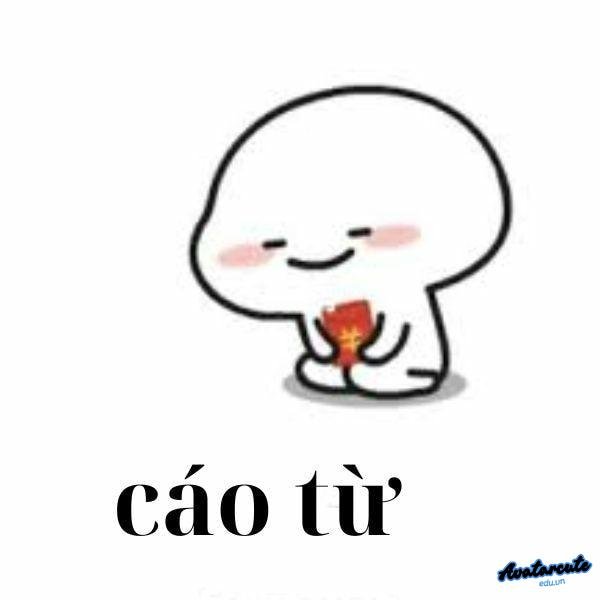 meme cáo từ cute