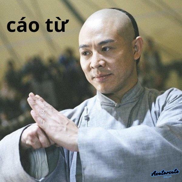 meme cáo từ lưu diệp phi