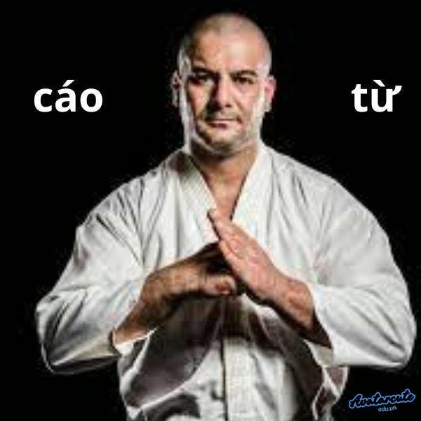 meme cáo từ nha