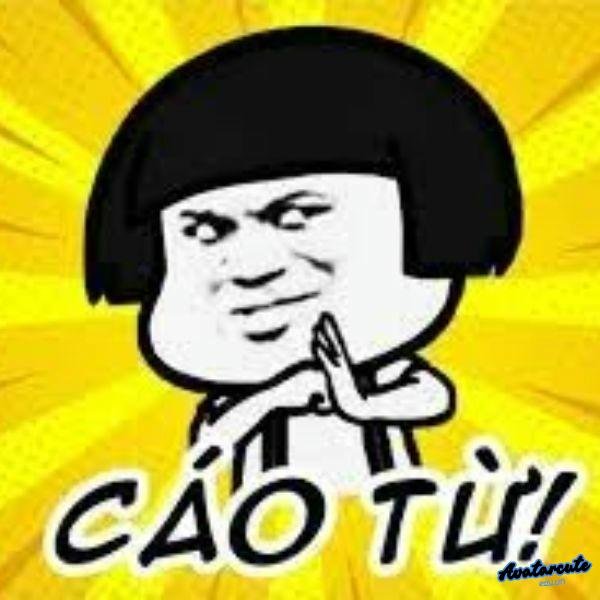 meme cáo từ nha pà