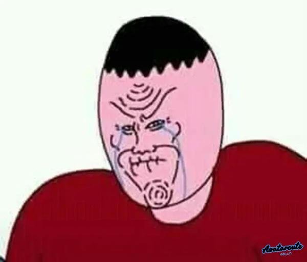 meme cay cú màu hồng