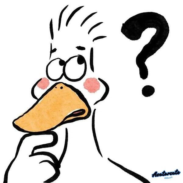 meme chấm hỏi vịt