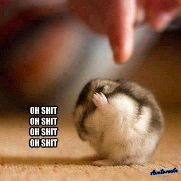 meme chán chả buồn nói