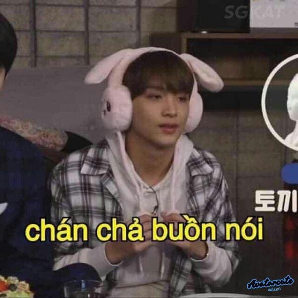 meme chán đời lắm gòi