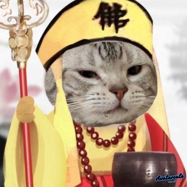 meme chán đời phật