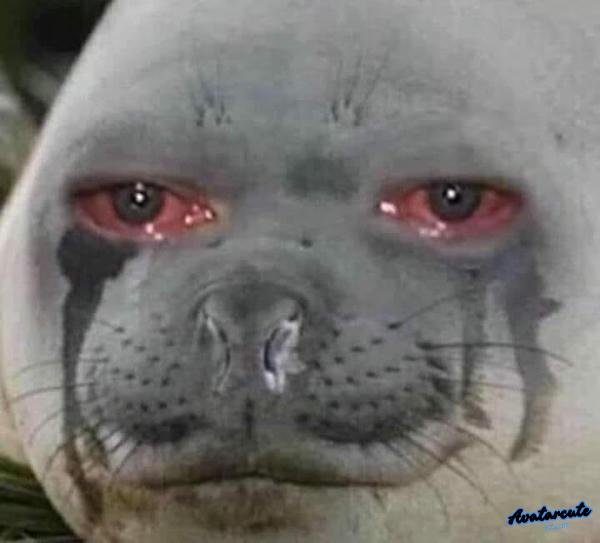 meme che mắt ngộ