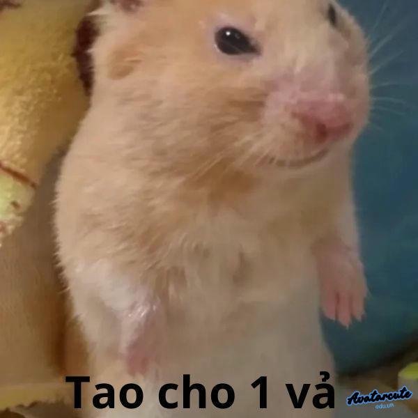 meme chế tao cho một vả