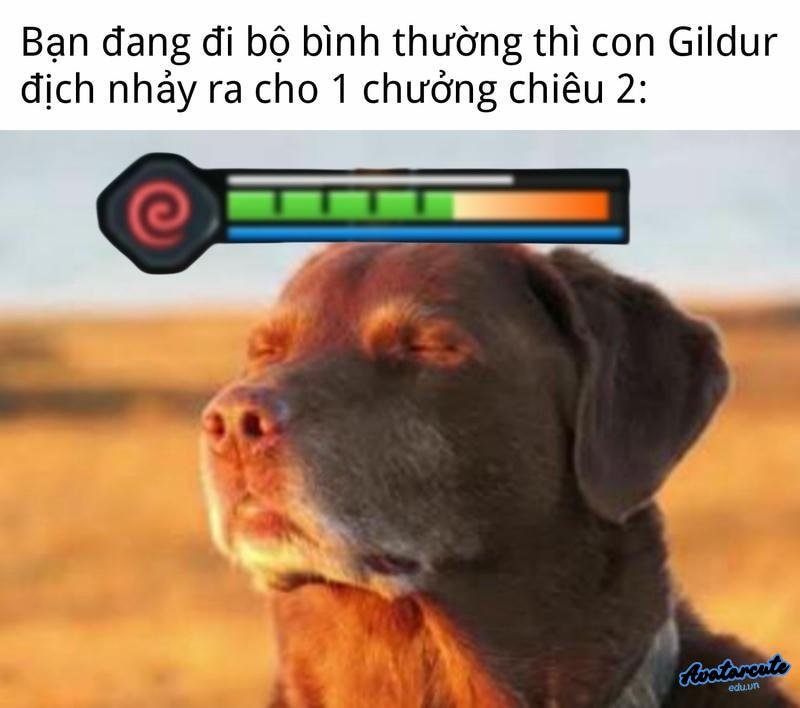 meme chó liên quân
