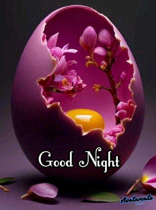 meme chúc ngủ ngon dễ thương