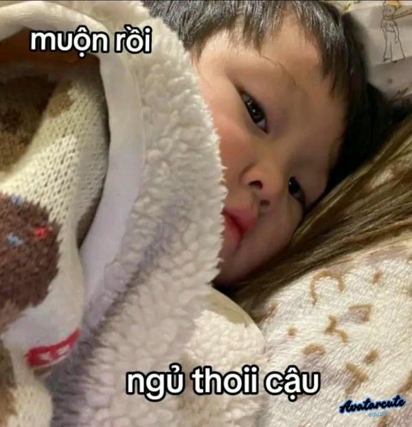 meme chúc ngủ ngon ma