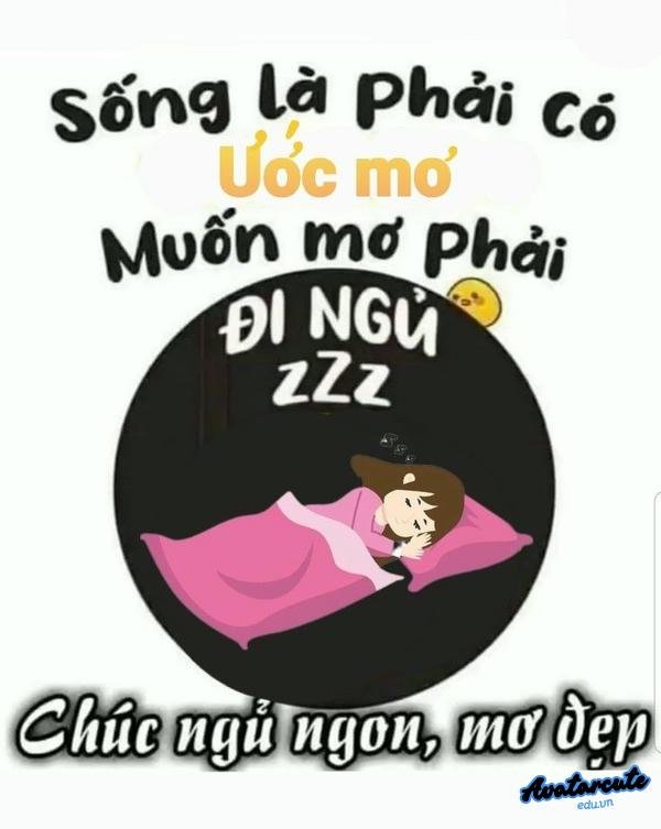 meme chúc ngủ ngon sến