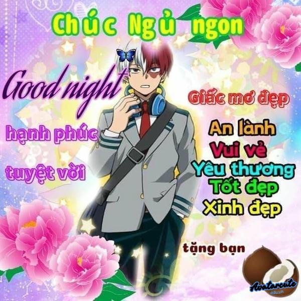 meme chúc ngủ ngon