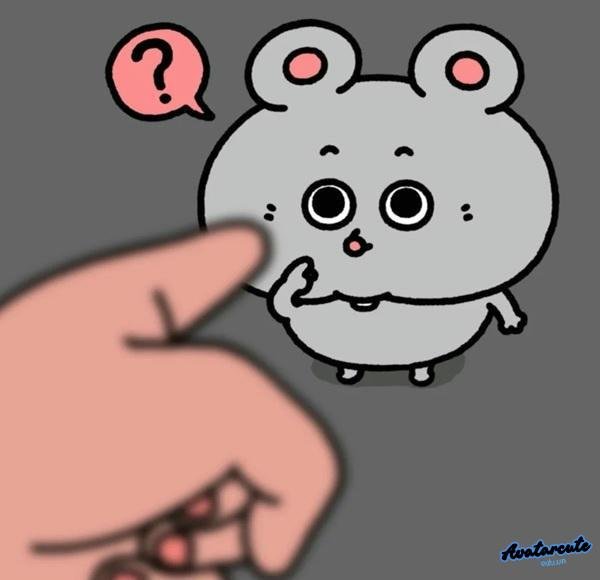 meme chuột hoir chaams