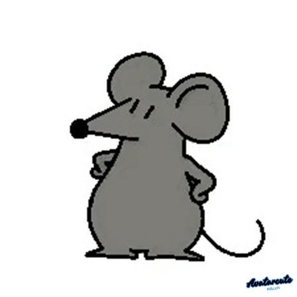 meme chuột xams