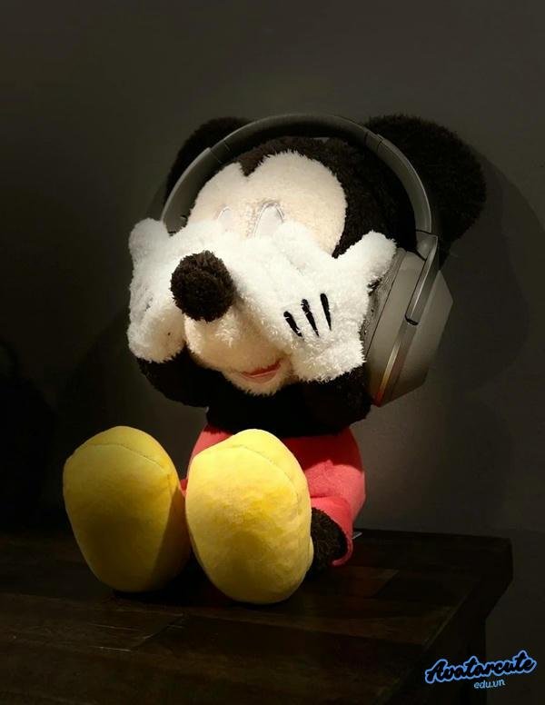 meme con chuột sợ hãi