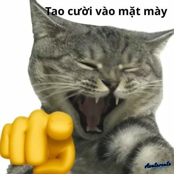 meme con mèo chỉ tay