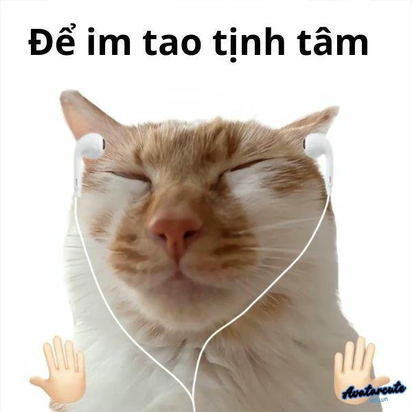 meme con mèo để tao im lặng