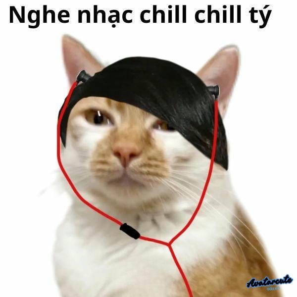 meme con mèo nghe nhạc chill chill tý