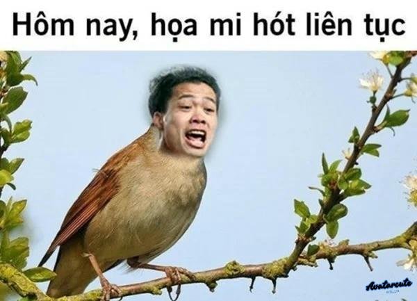 meme công phượng 15