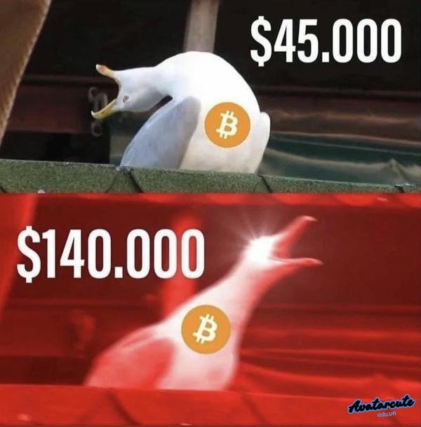 meme crypto 14