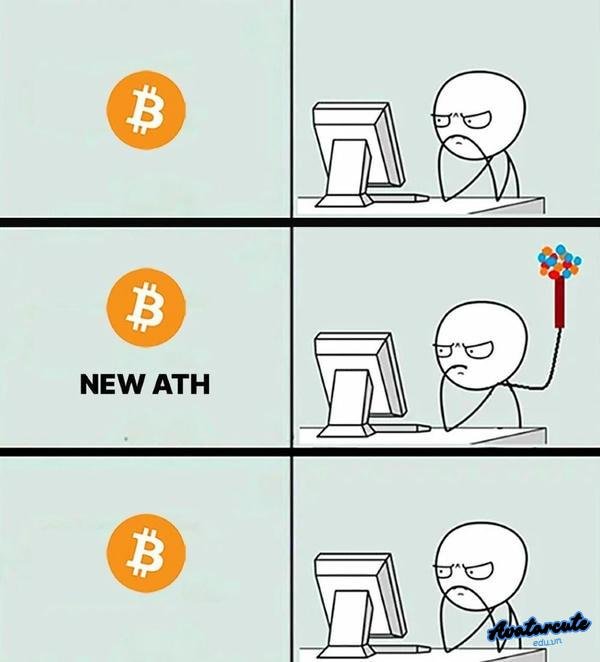 meme crypto 23