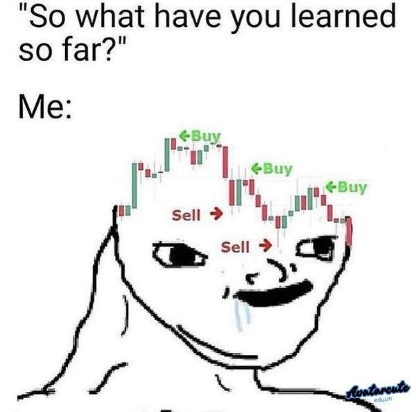 meme crypto 6