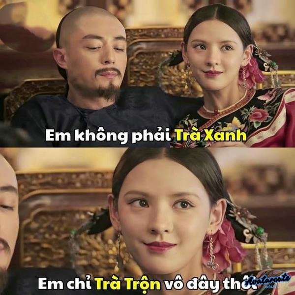 meme cung đấu 12