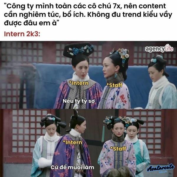 meme cung đấu 16