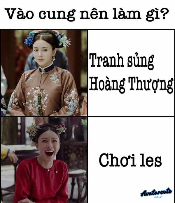 meme cung đấu 28