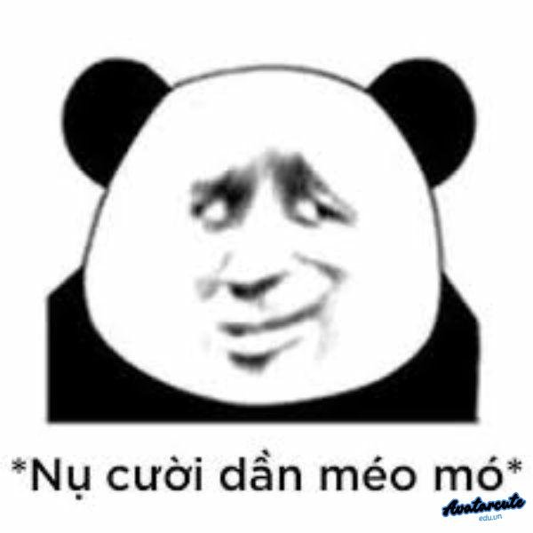 meme cười đểu 12
