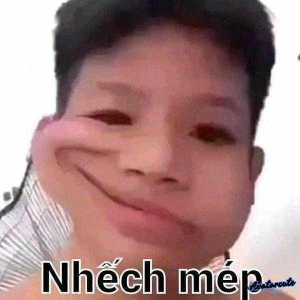 meme cười đểu 14