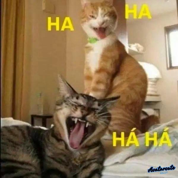 meme cười đểu 18