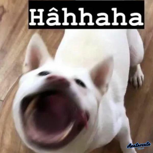 meme cười đểu 2