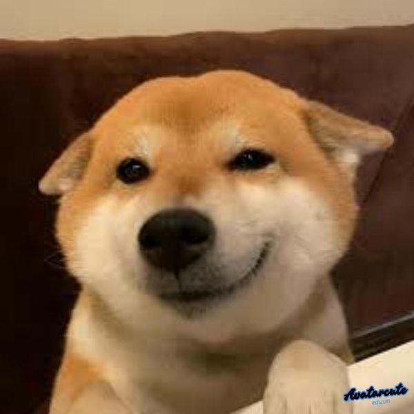 meme cười đểu 20